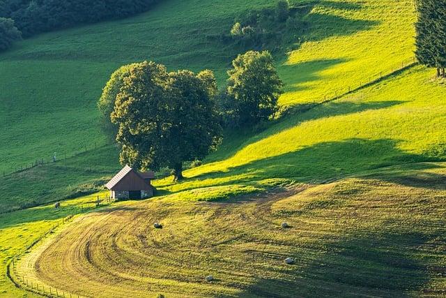 Farm: Od Rolí k Významu v Anglickém Jazyce!