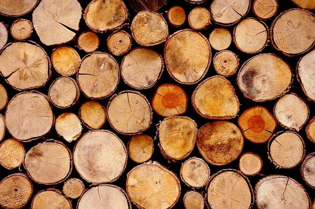 Lumber: Význam a Použití Této Slovní Zásoby v Angličtině