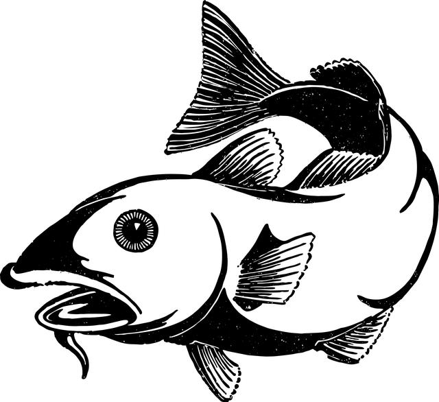 Cod Fish: Jaký je jeho význam a použití v angličtině?