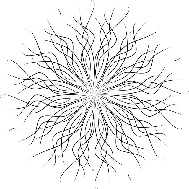 Jak se vyjadřuje anglicky slovo 