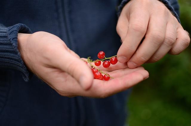 Důležité slovní zásoby a fráze spojené s hipem