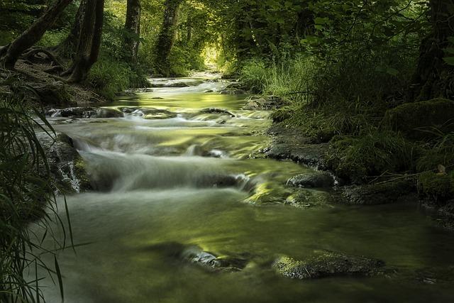 Light Green: Překlad a Význam Barvy v Anglicko-Českém Slovníku