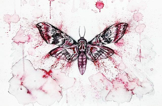 Moth: Co Tento Noční Hmyz Symbolizuje v Kultuře?
