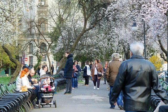 Stroller: Překlad a Význam pro Rodiče