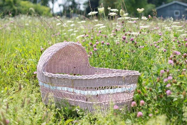 Bassinet: Bezpečné Místo pro Spánek Vašeho Dítěte!