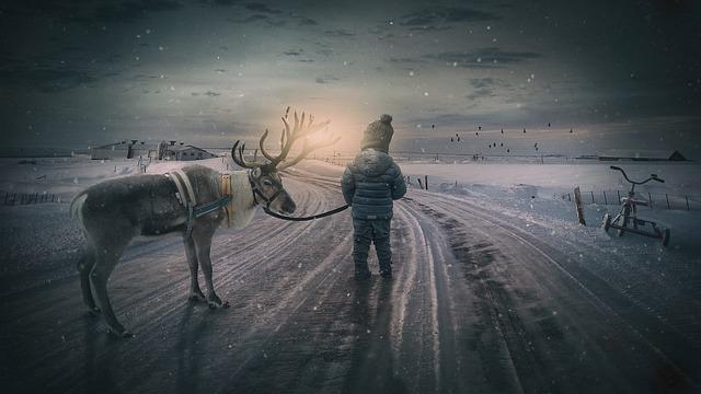 Reindeer: Co To Znamená a Jak To Říct Česky?