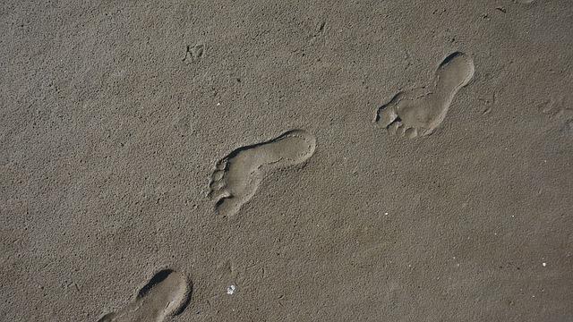 Footprint: Co To Znamená? Překlad a Kontext!