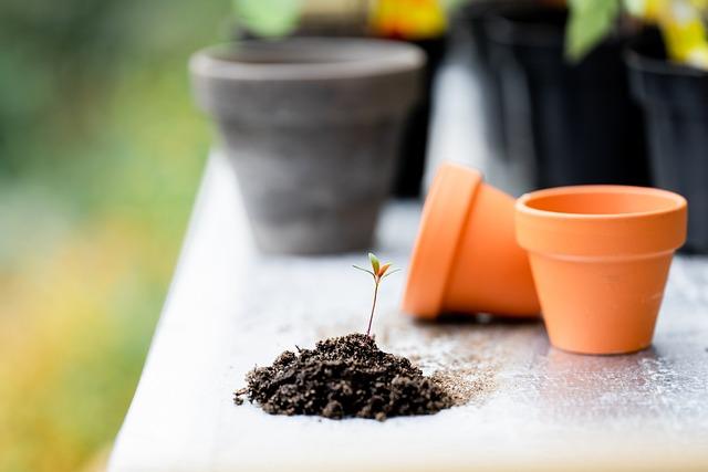 Soil: Co to znamená a jak se používá?