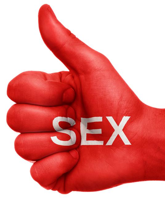 Have Sex With: Jak Správně Používat Tento Anglický Výraz?