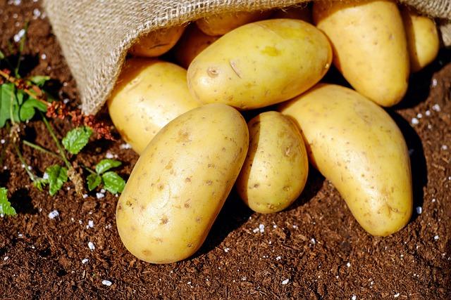 Potatoes: Překlad a Význam v Anglicko-Českém Kontextu