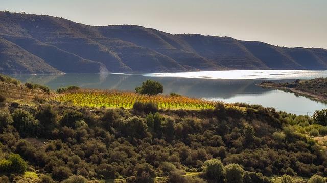 Vinery: Co Tento Termín Znamená v Anglickém Jazyce?