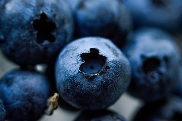 Blueberry: Překlad a Význam Této Oblíbené Ovocné Slova