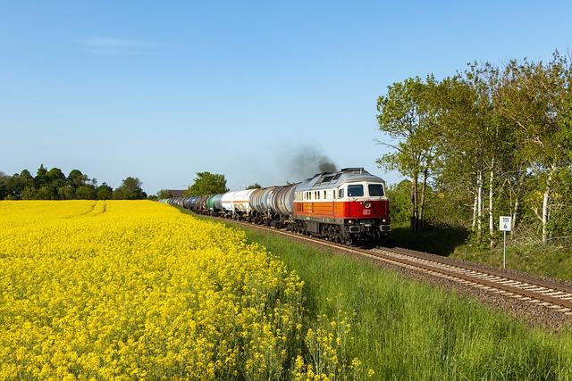 Specifické nuance v anglicko-českém slovníku