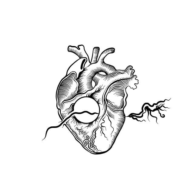 Anatomie a fyzická struktura