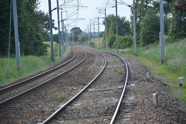 Doporučené Způsoby, Jak Panský Květ Začlenit do Českého Prostředí