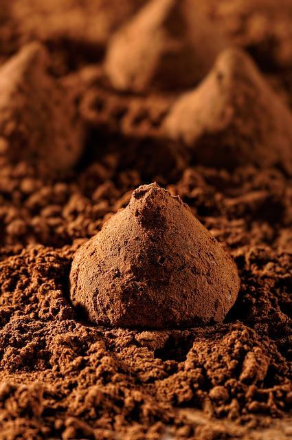 Truffle: Prozkoumejte Tajemství Této Delikatesy!