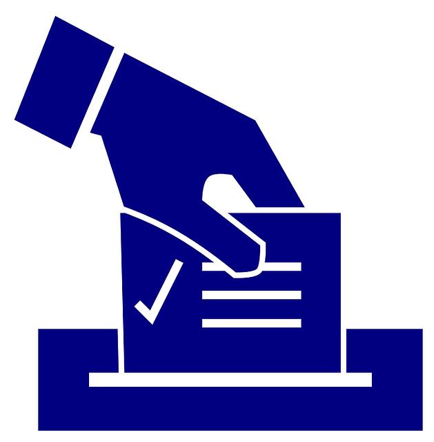 Jak je proces hlasování organizován a prováděn?